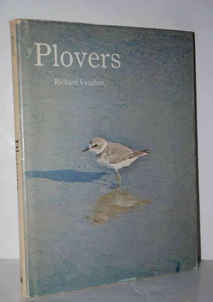 Plovers Image