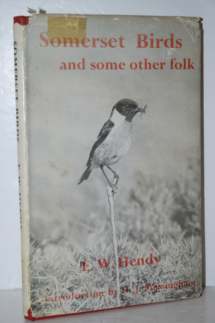 SOMERSET BIRDS and Some Other Folk. Image