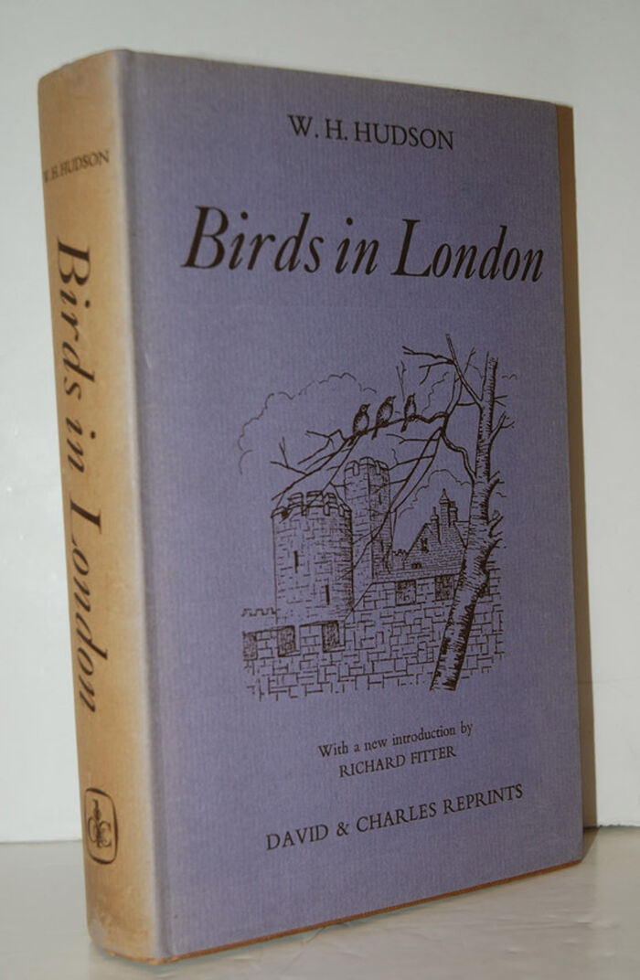 Birds in London Image