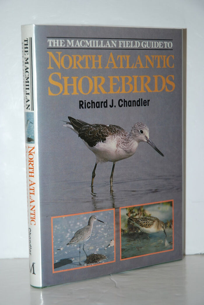 North Atlantic Shore Birds - a Photographic Guide to the Waders of Western Image