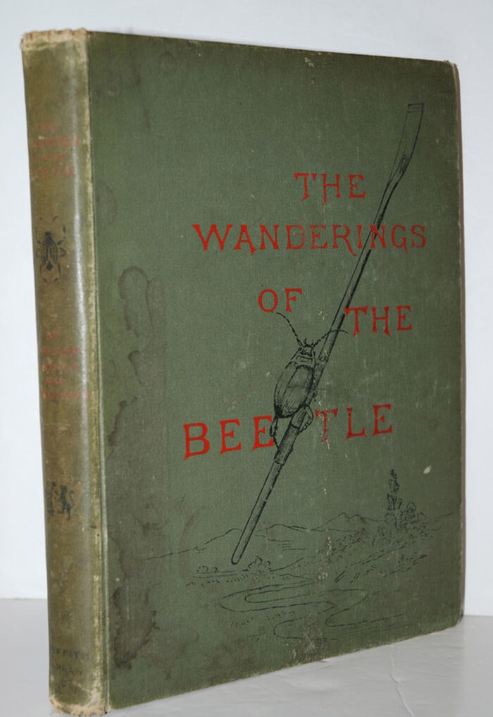 THE WANDERINGS of the BEETLE Image