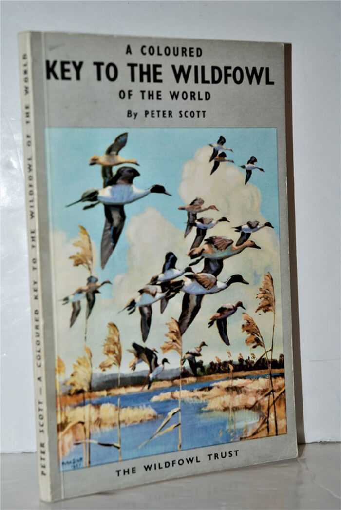 A Coloured Key to the Wildfowl of the World Image