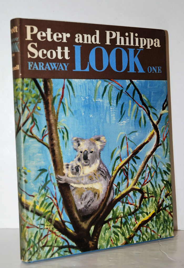 Faraway LOOK One Image