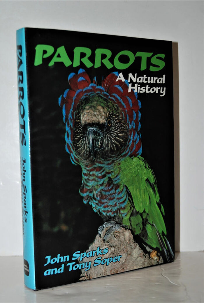 Parrots Image
