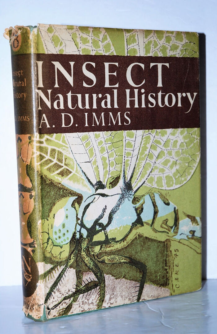 Insect Natural History Image