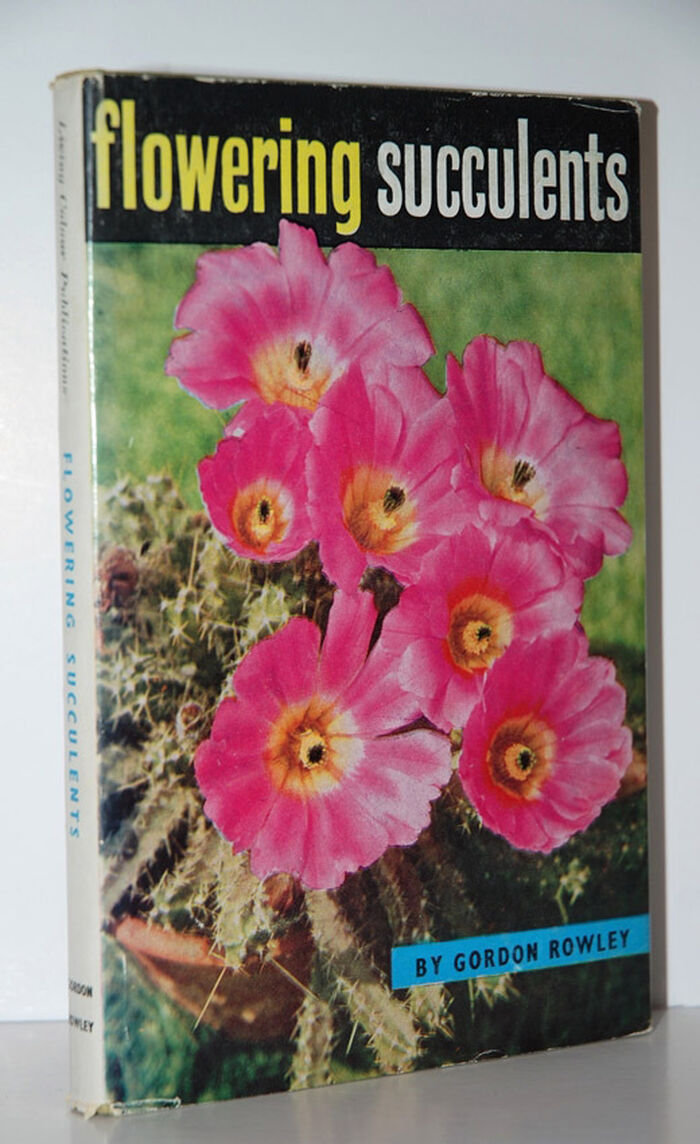 Flowering Succulents Image