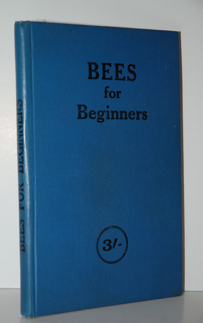 Bees for Beginners Image