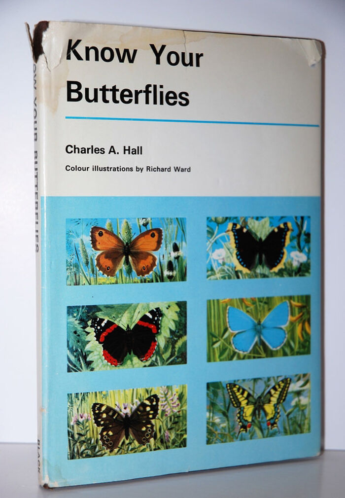 Know Your Butterflies Image