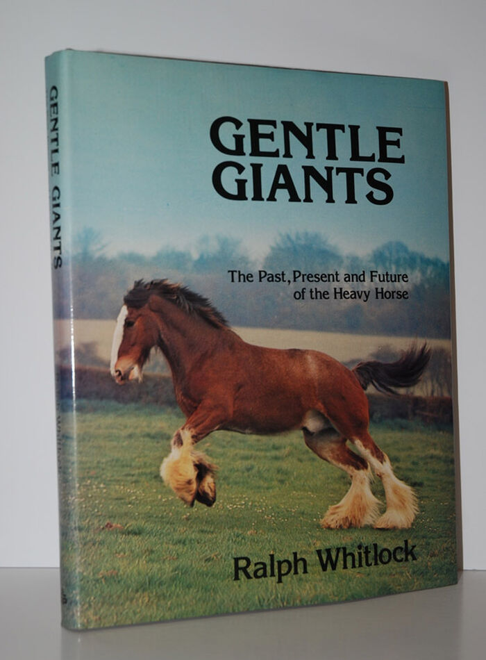Gentle Giants Past, Present and Future of the Heavy Horse: Written by Image