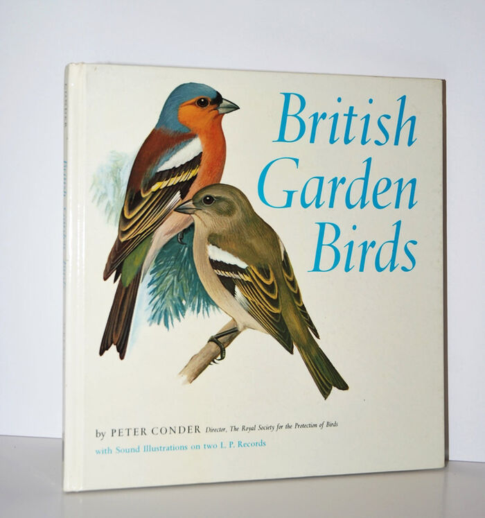 British Garden Birds Image
