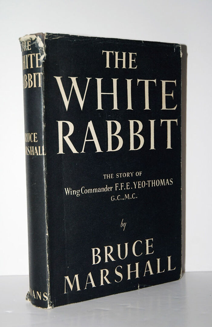 THE WHITE RABBIT Image