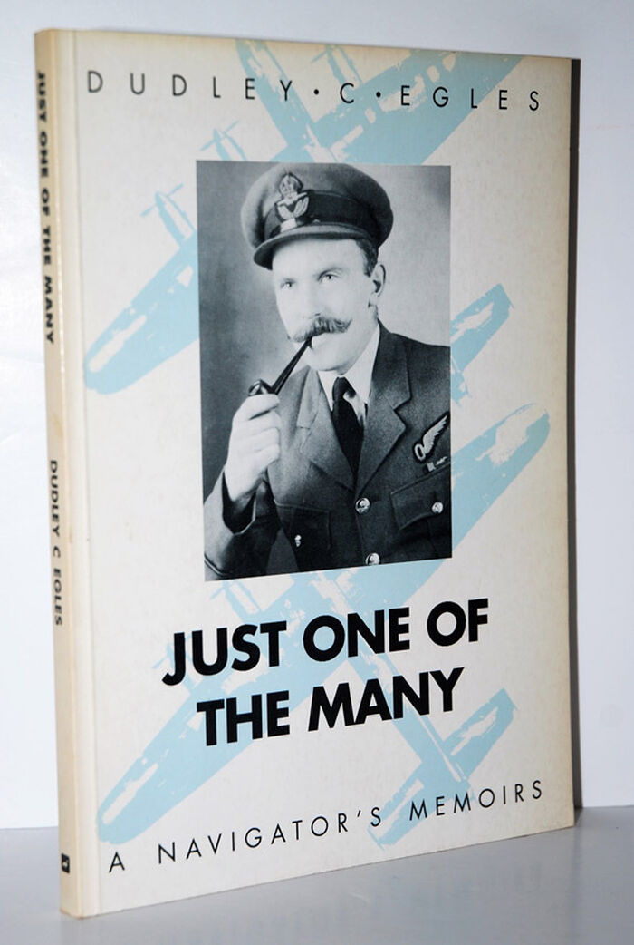 Just One of the Many A Navigators Memoirs Image