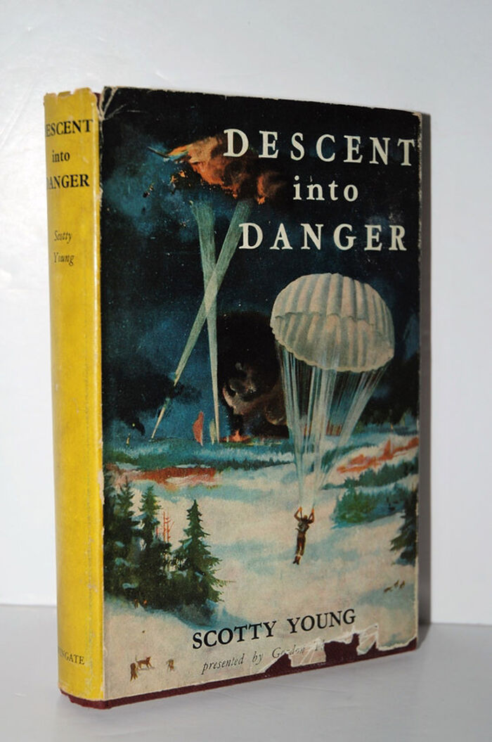 Descent Into Danger Image