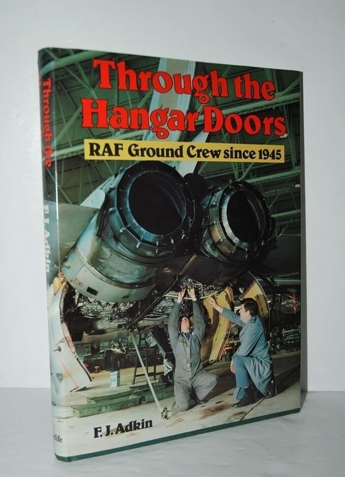 Through the Hangar Doors Image