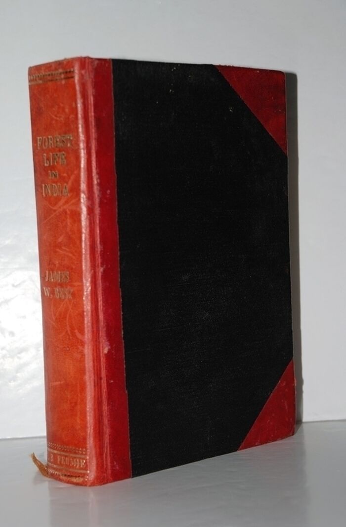 Forest Life in India Image