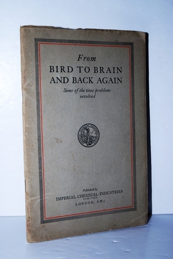 From Bird to Brain and Back Again Image