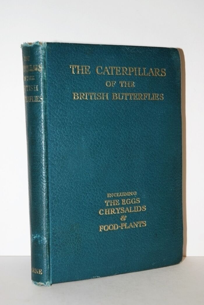 The Caterpillars of the British Butterflies Including the Eggs Chrysalids Image