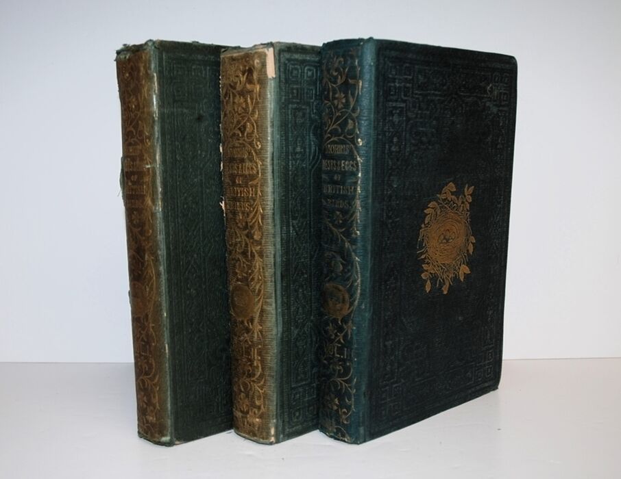 A Natural History of the Nests and Eggs of British Birds - Complete in 3 Image