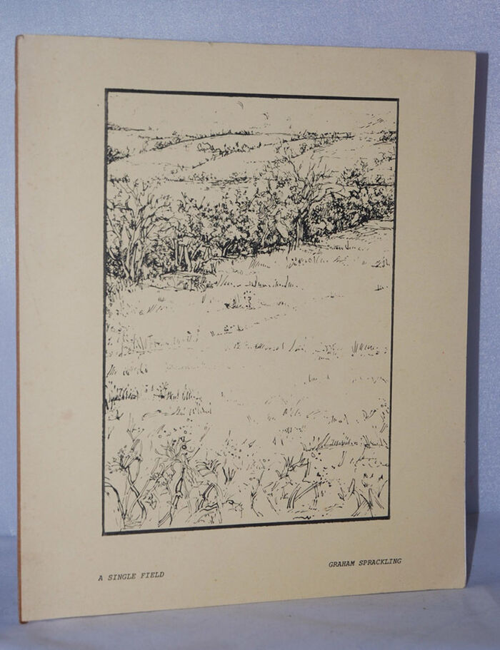 A SINGLE FIELD Field Names in the Parish of Ewyas Harold Herefordshire Image