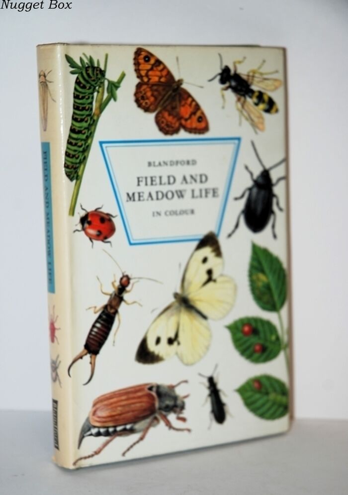 Field and Meadow Life Image