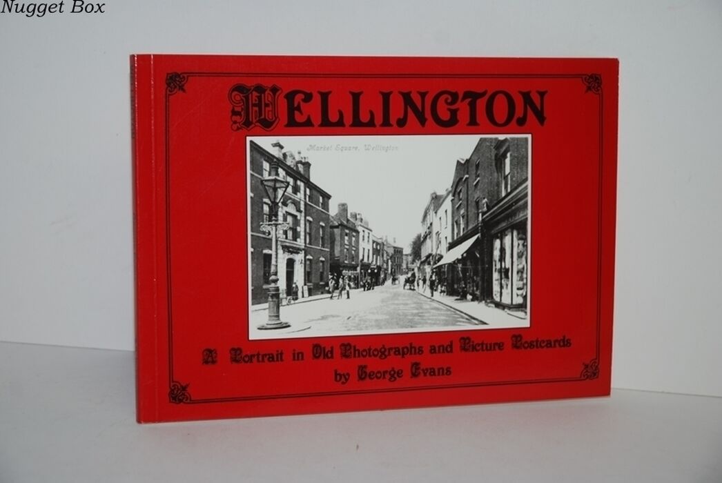 Wellington A Portrait in Old Picture Postcards Image