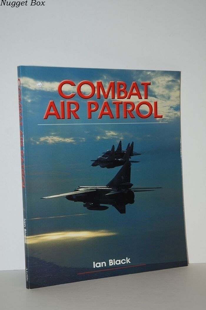 Combat Air Patrol Image