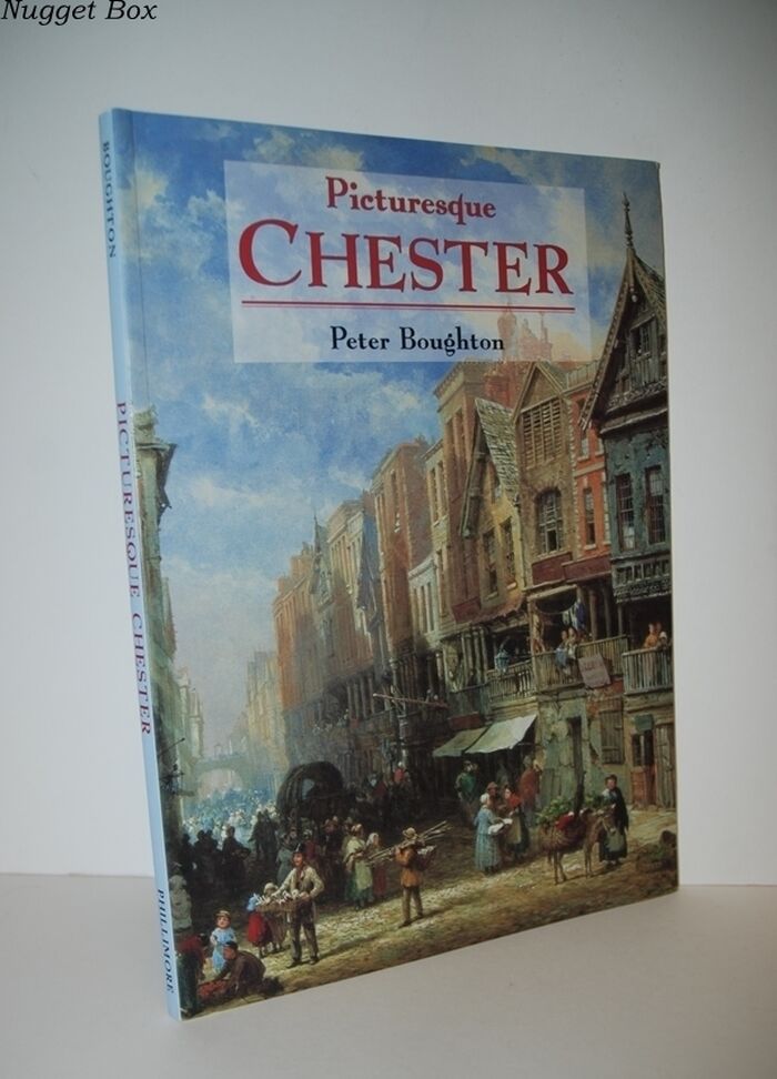 Picturesque Chester The City in Art Image