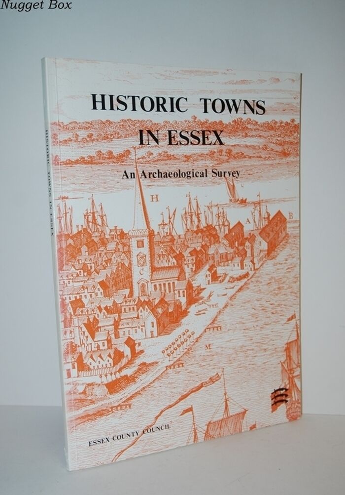 Historic Towns in Essex An Archaeological Survey of Saxon and Medieval Image