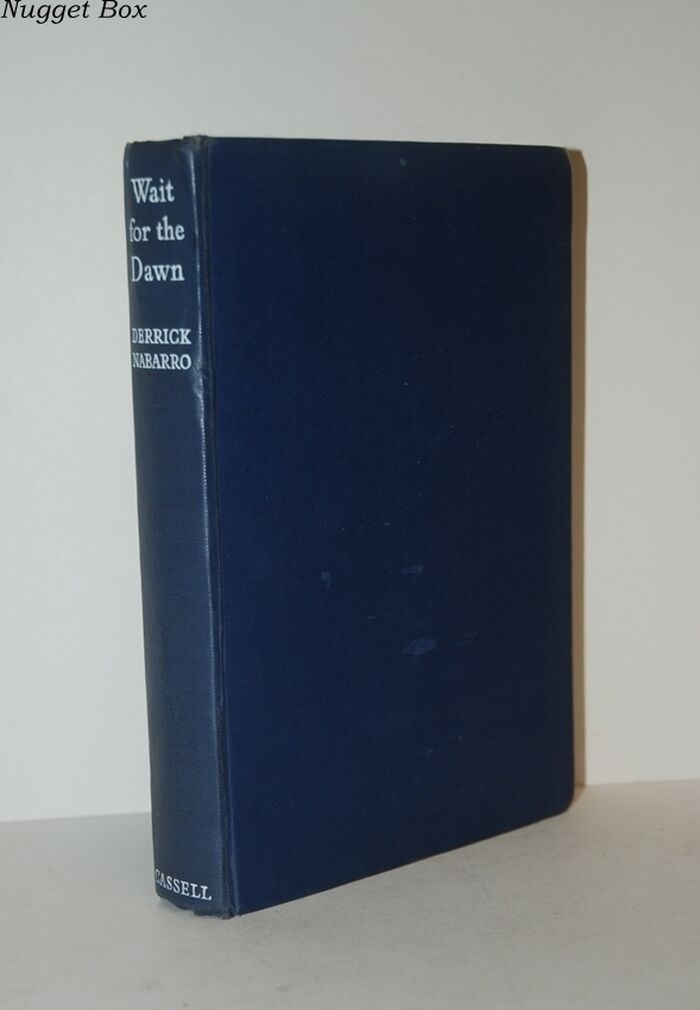 Wait for the Dawn Image