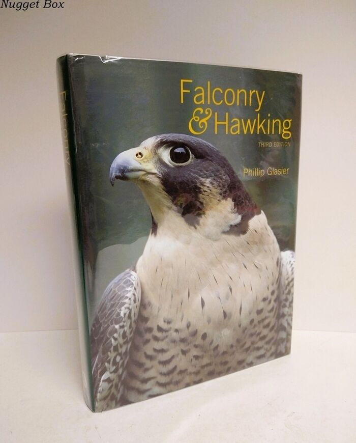 Falconry and Hawking Image