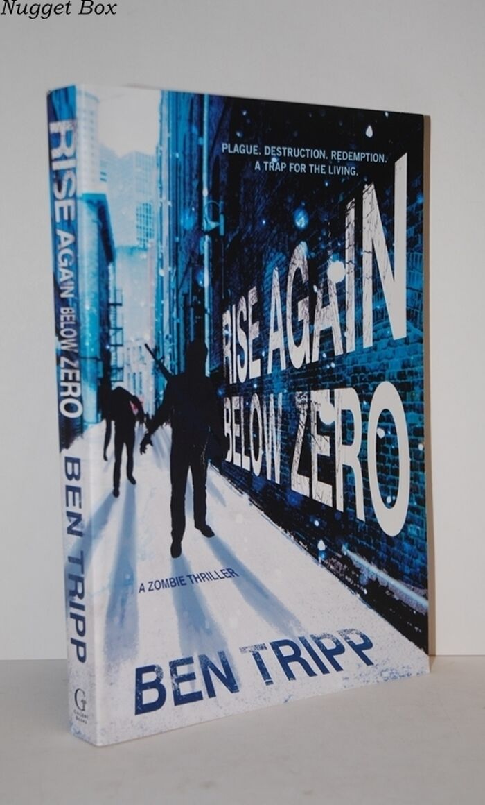 Rise Again Below Zero Image