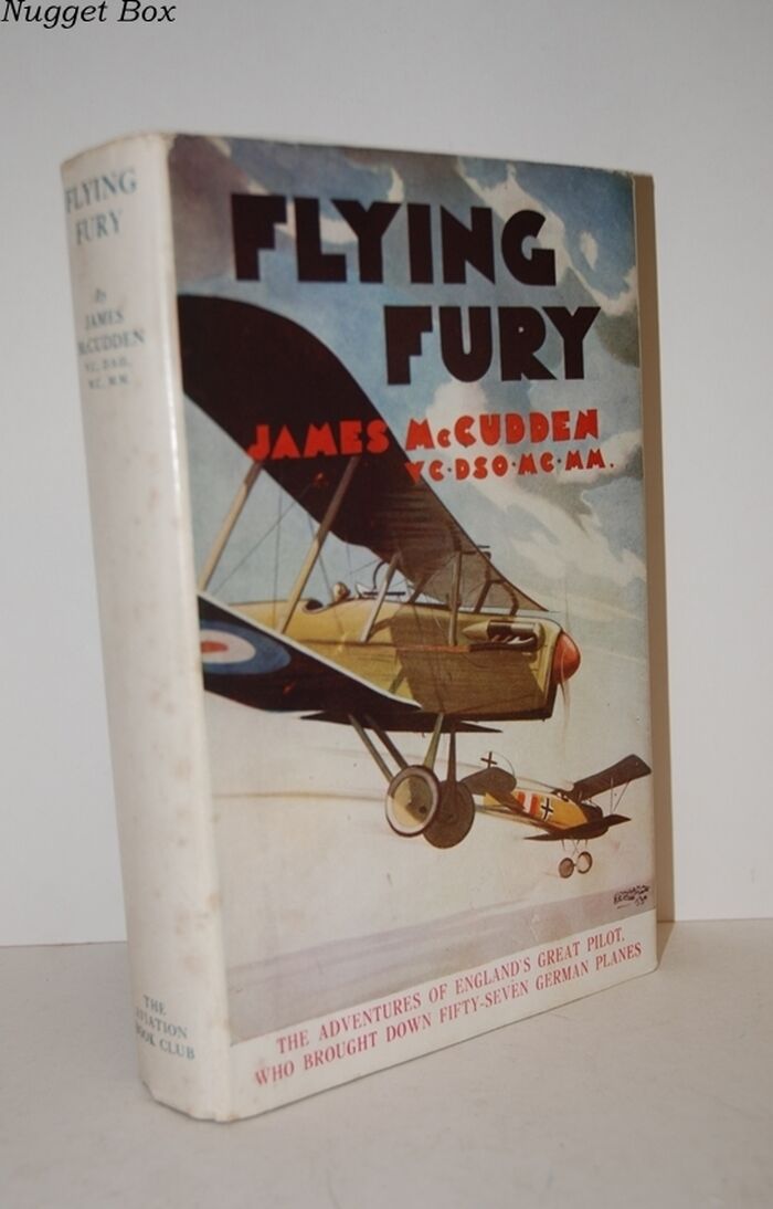 Flying Fury Image