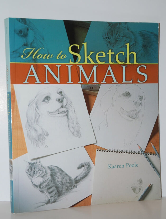 How to Sketch Animals Image