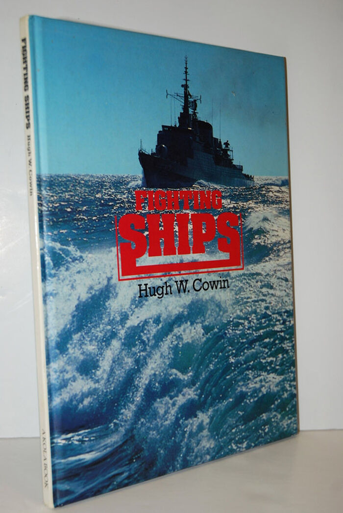 Fighting Ships Image