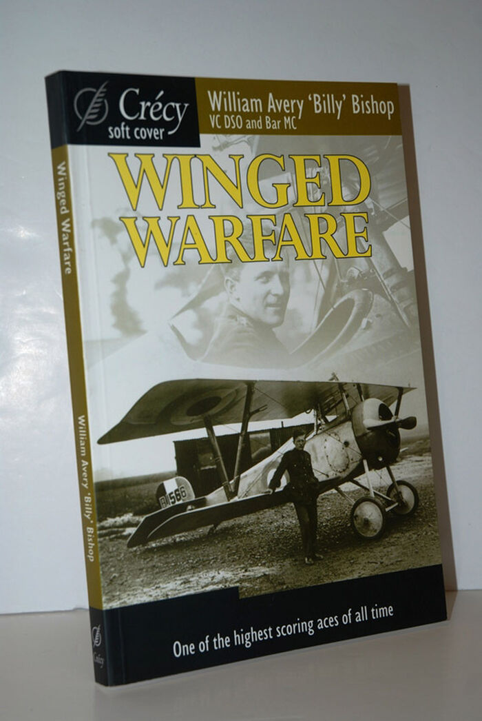 Winged Warfare Image