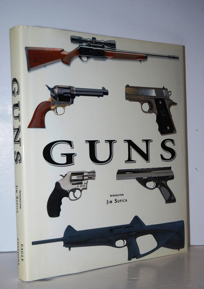 GUNS Image