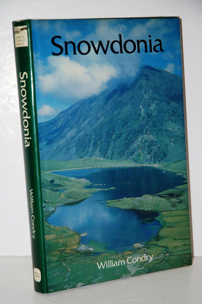 Snowdonia Image