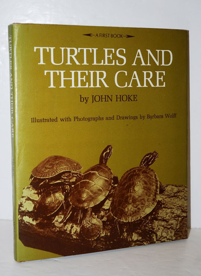 Turtles and Their Care Image