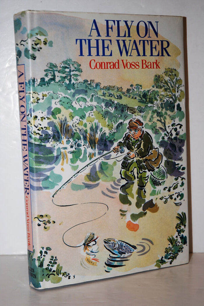 A Fly on the Water Image