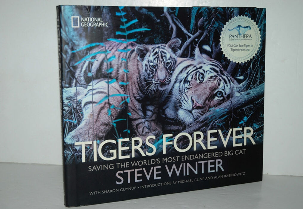 Tigers Forever Saving the World's Most Endangered Big Cat Image