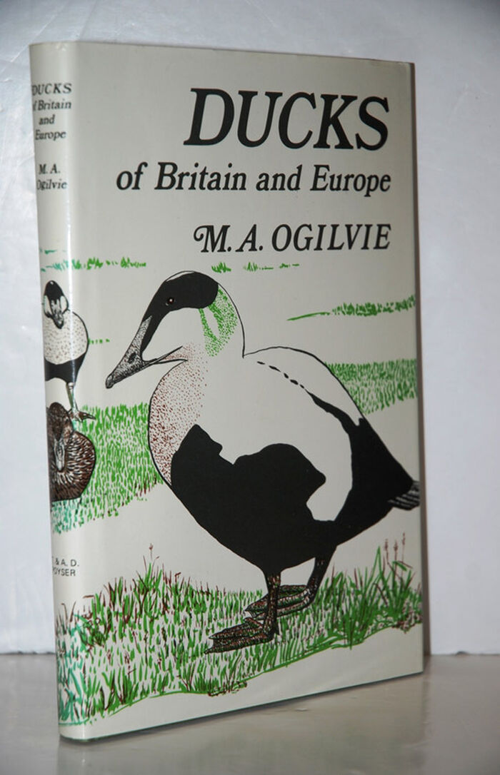 Ducks of Britain and Europe Image