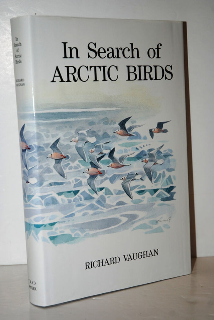 In Search of Arctic Birds Image