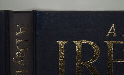 A Day in the Life of Ireland Additional Image