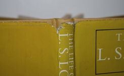 The Life of LS Lowry Additional Image