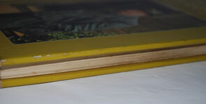 The Life of LS Lowry Additional Image