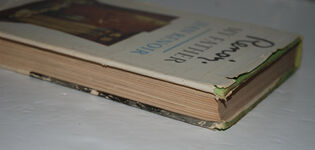 Renoir. My Father. Additional Image