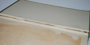 The Life of Francis Thompson Additional Image