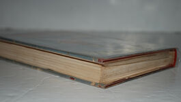 CARBONEL Additional Image