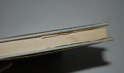 Birds of Derbyshire Additional Image