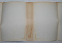 Birds of Devon Additional Image